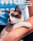 JULIETA