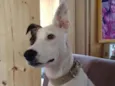 Kira