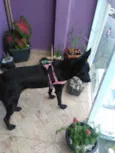 Jully 