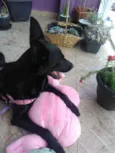 Jully 