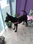 Jully 
