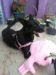 Jully 