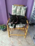 Jully 