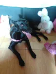 Jully 