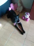 Jully 