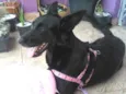 Jully 