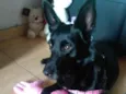 Jully 