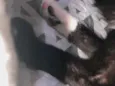 Mima 