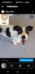Bilu