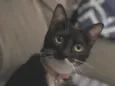Mima 