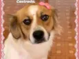 Tequila