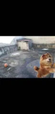 Simba