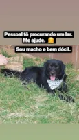 Negão