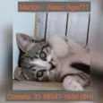 MARLON