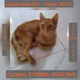 JUJUBA