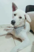 Rio