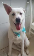 Rio