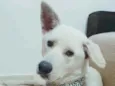 Rio