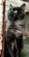 Tony