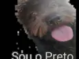 Preto