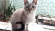 Biscoito bebê lindo 