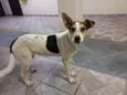 Por enquanto é Zoe