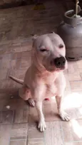 Spike