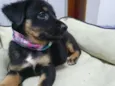 ROTINHA