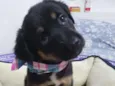 ROTINHA