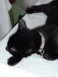 Lupita
