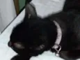 Lupita