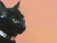 Lupita