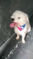 Neve bebê lindo