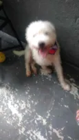 Neve bebê lindo