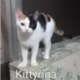 Kittyrina