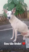 Chico