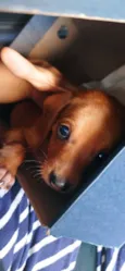 Ralph
