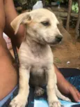 Ritinha