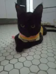 NICK