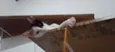 Kittyrina