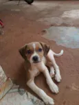 Não têm nome