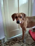 Magali