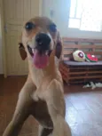 Magali
