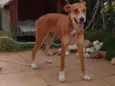 Mel