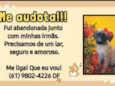 Leleca