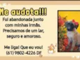 Leleca