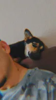 Kiara