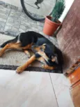 Kiara