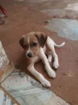 Não têm nome
