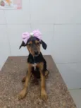 Rubi